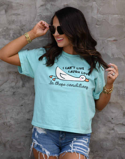 Live laugh love